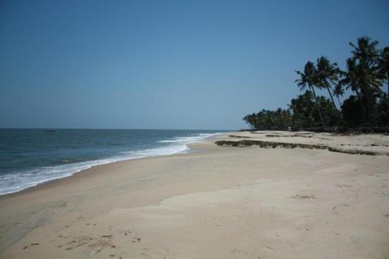 Fool'S Paradise Bed & Breakfast Alappuzha Eksteriør bilde